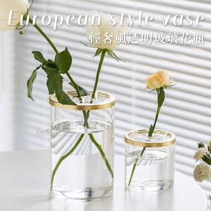 輕奢風透明玻璃花瓶【高/矮】