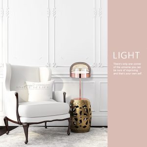 LED 24W 金屬玫瑰金立燈  SKD-02531