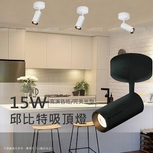 LED邱比特吸頂燈15W【黑/白殼】