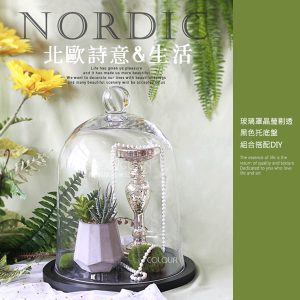 北歐花瓶玻璃罩/黑托盤