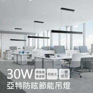 舞光 亞特防眩節能吊燈 LED-29023N-SV【質感銀】