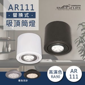 AR111 高演色替換式吸頂筒燈(燈泡另計)