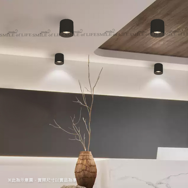 神盾LED 30W 高演色吸頂筒燈【時尚白/貴族黑】:圖片 2